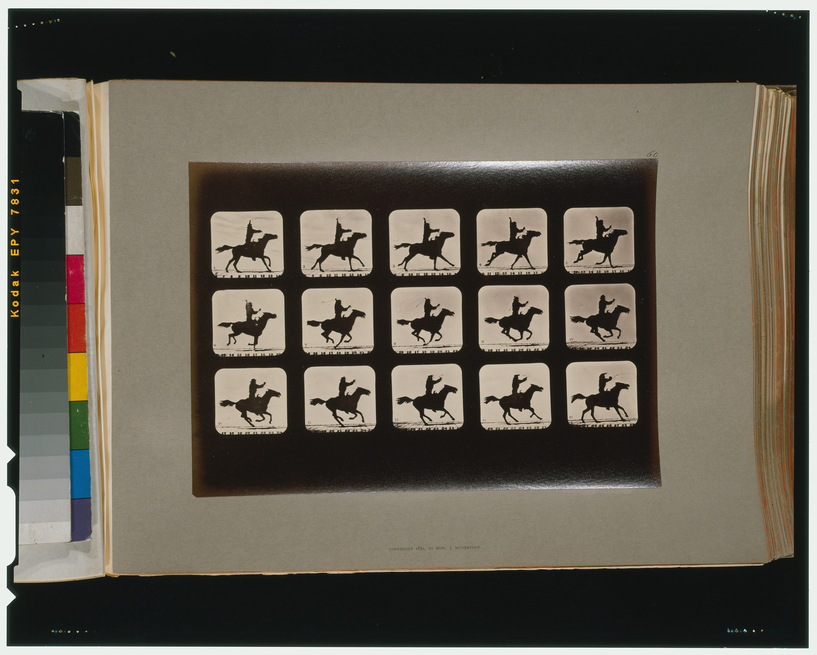 Horses. Irregular, [San Francisco] : Muybridge, c1881. — historic photograph