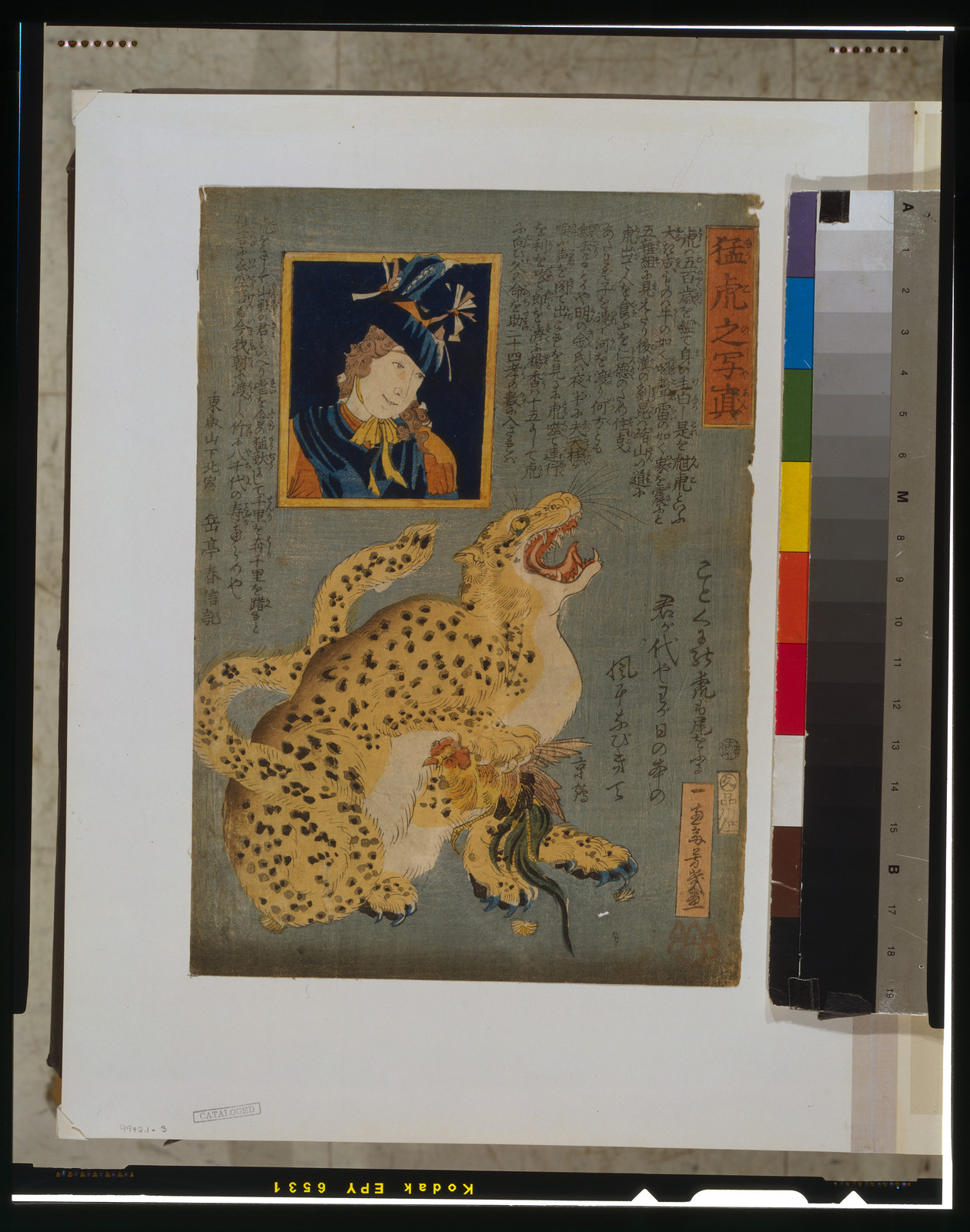 Moko no shashinTITLE TRANSLATION:Picture of a tiger., 1860 — historic print