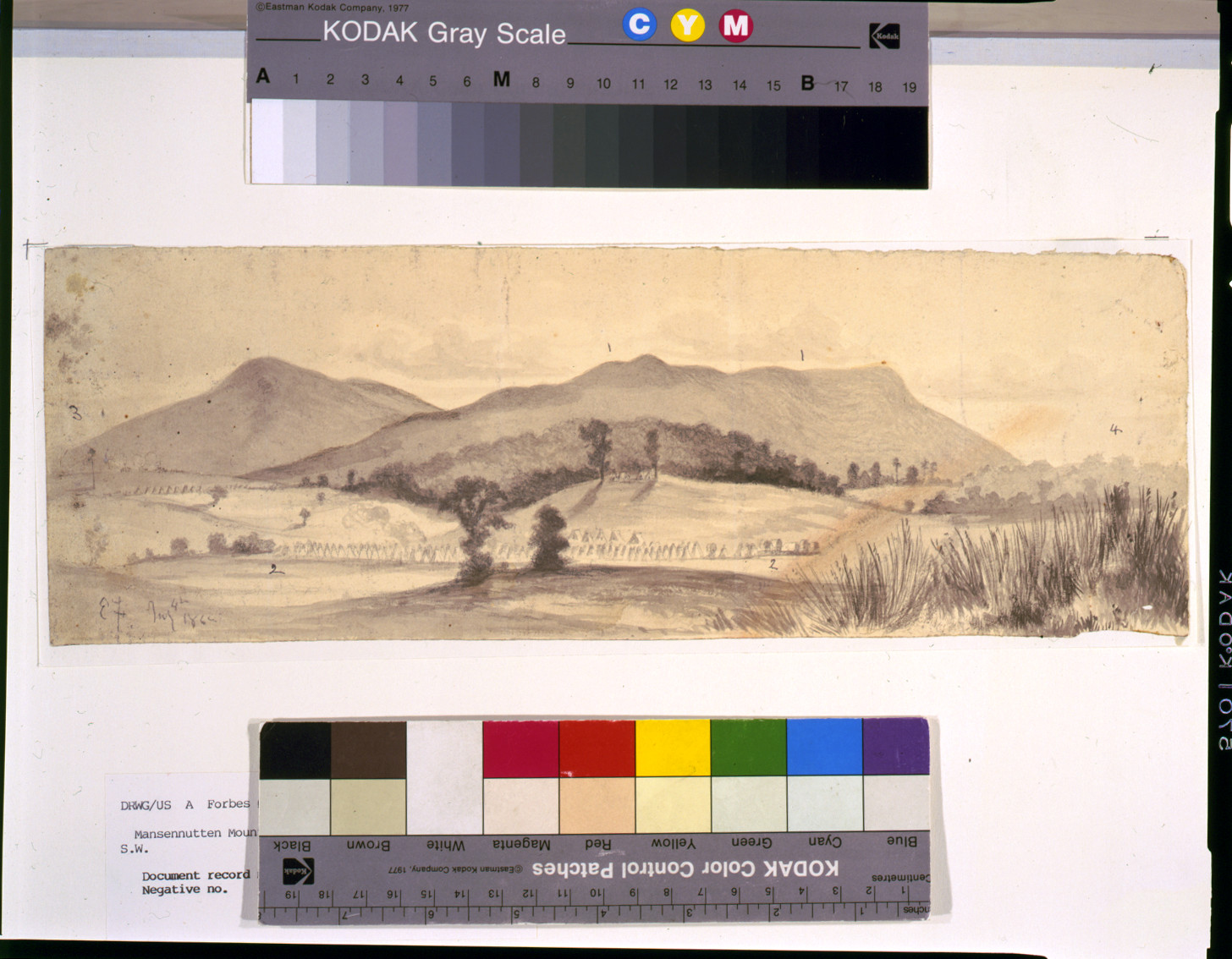 Massanutten Mountain, near Strasburg, Va., looking S.W. / EF., 1862 July 4. — historic drawing