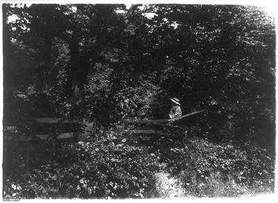 Quentin Roosevelt on the fence