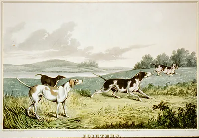 Pointers