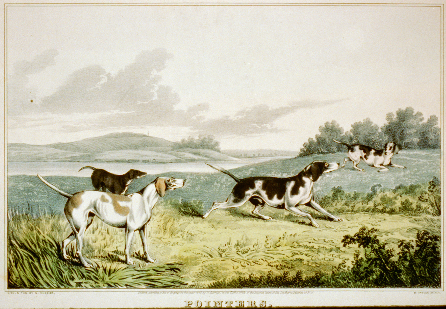 Pointers, New York : Published by N. Currier, c1846. — antique lithograph