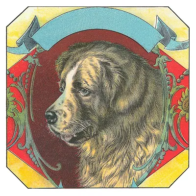 Portrait of a large dog in a decorative octagonal frame