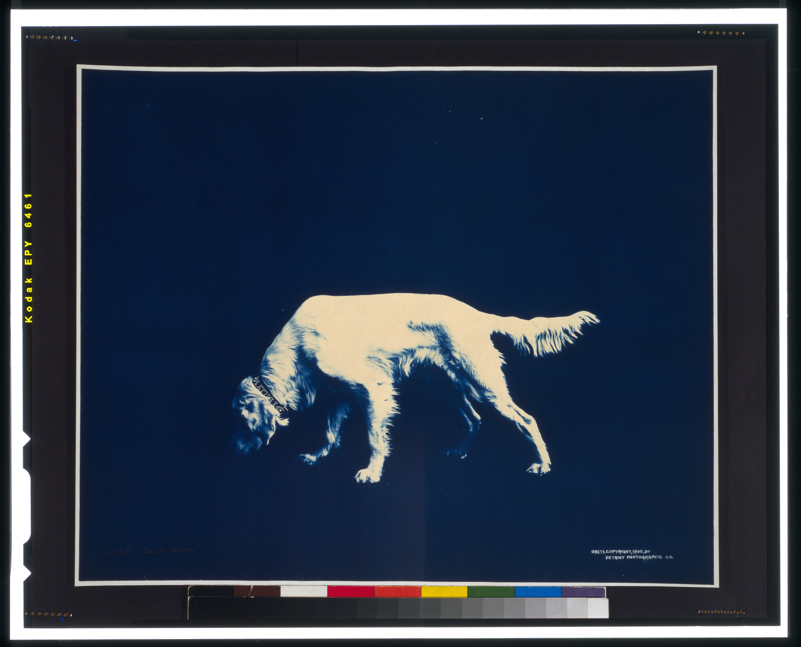 Seek Dead"", c1902. — historic photograph