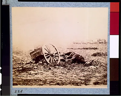 [Dead horse on battlefield, Gettysburg, Pennsylvania]