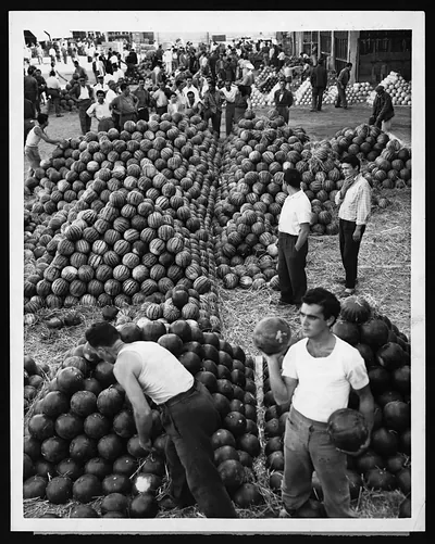 Workers among piles of watermelons at a market