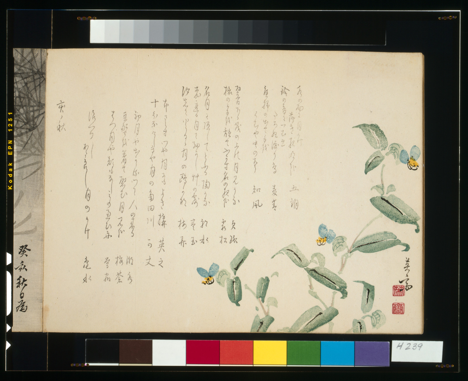 Japanese album page with pansies and handwritten calligraphy — historic print