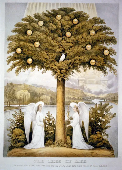 The tree of life: on either side of the river was there the tree of life which bare twelve manner of fruits.--Rev. ch. XXII,2