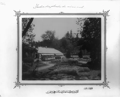 [Botanical gardens of the Imperial Military Medical School] / fotograf Föbus.