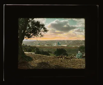 Hand-colored lantern slide of a city with domes beneath an olive tree