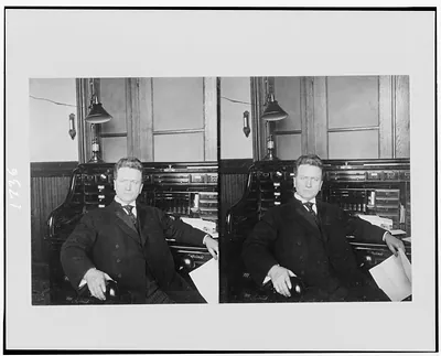 [Robert La Follette, half-length portrait, seated at desk, facing front]