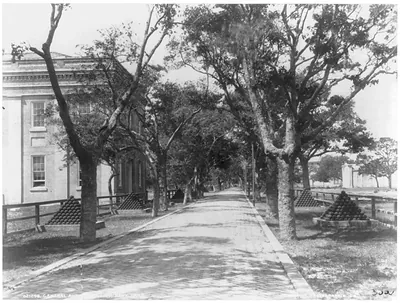 [Pensacola Navy Yard: Central Ave.]