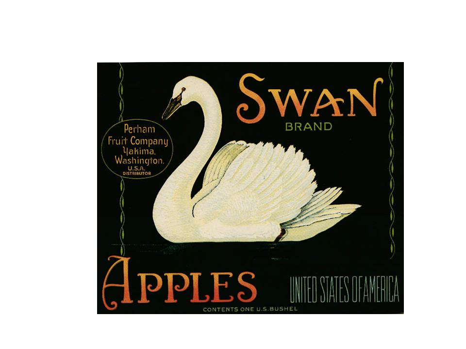 Swan Brand Apples crate label, Perham Fruit Company, Yakima, Washington — historic image