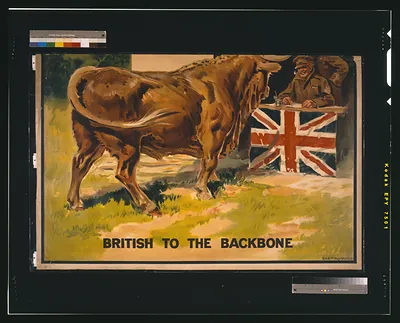I hear they want more Bovril. My place is at the front" / S.H.B. Ltd."