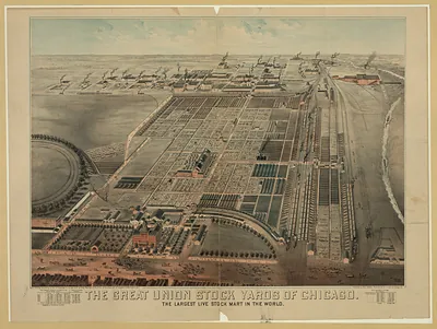 The Great Union Stock Yards of Chicago