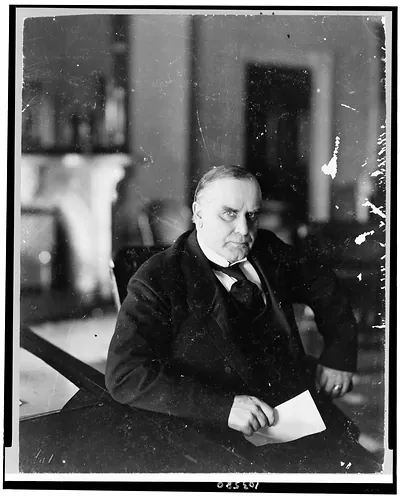 [William McKinley, half-length portrait, seated at desk, facing right]