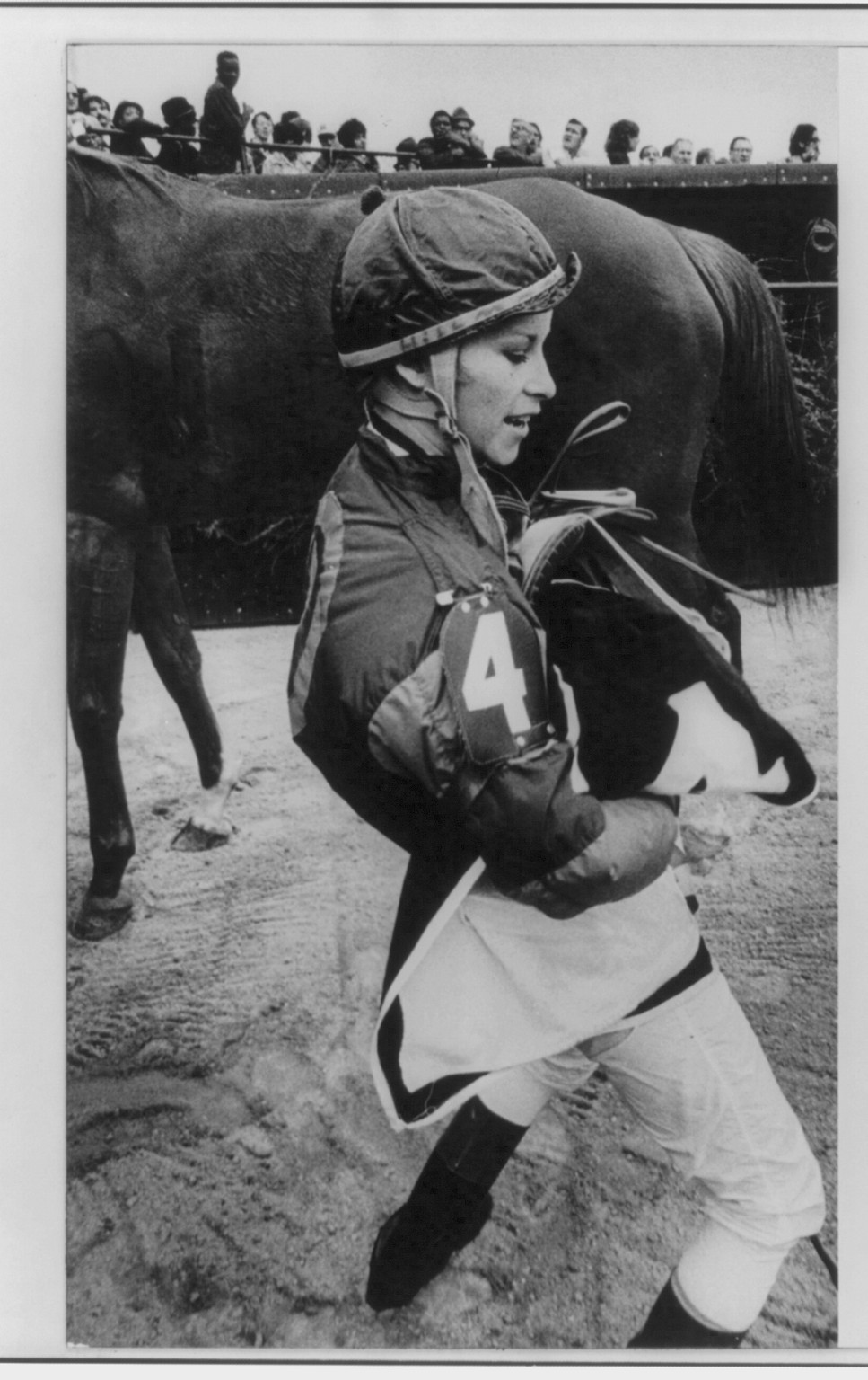 Call me MS. - picture with horse only, [no date recorded on caption card] — historic photograph