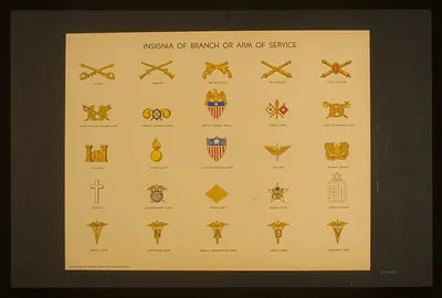 Insignia of branch or arm of service