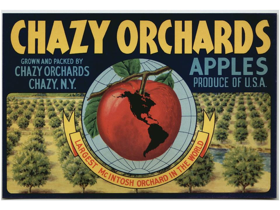 Chazy Orchards apples crate label with red apple and globe — historic image