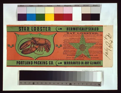Star lobster--Portland Packing Co.