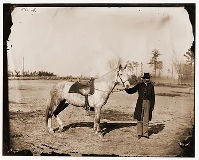 Petersburg Virginia. Lt. Vane and horse Army of the Potomac