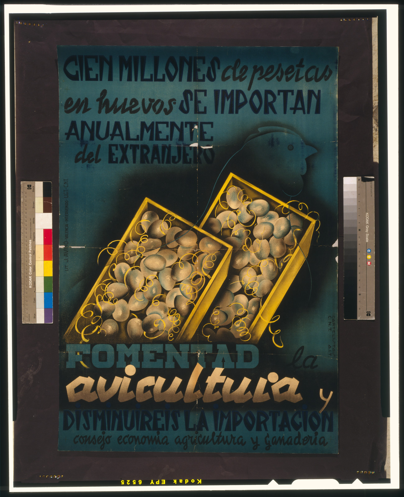 Cien millones de pesetas en hue vos se importan anualmente del extranjero. Fomentad la auicultuia y disminuireis la importacion, Valencia : UGT-CNT-AIT, [between 1936 and 1939] — vintage poster
