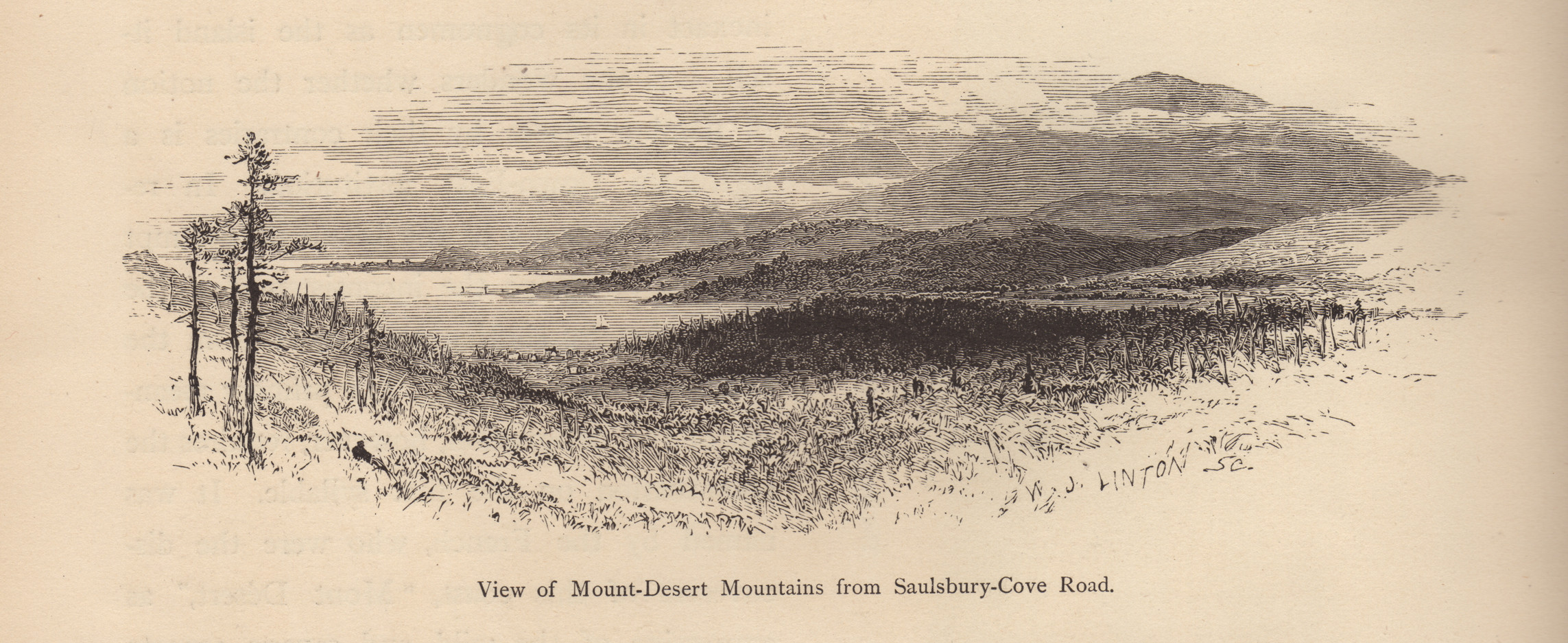 ME Mt Desert Mts from Saulsbury Cove Road — historic image