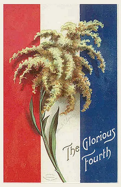 The Glorious Fourth: goldenrod on red, white and blue