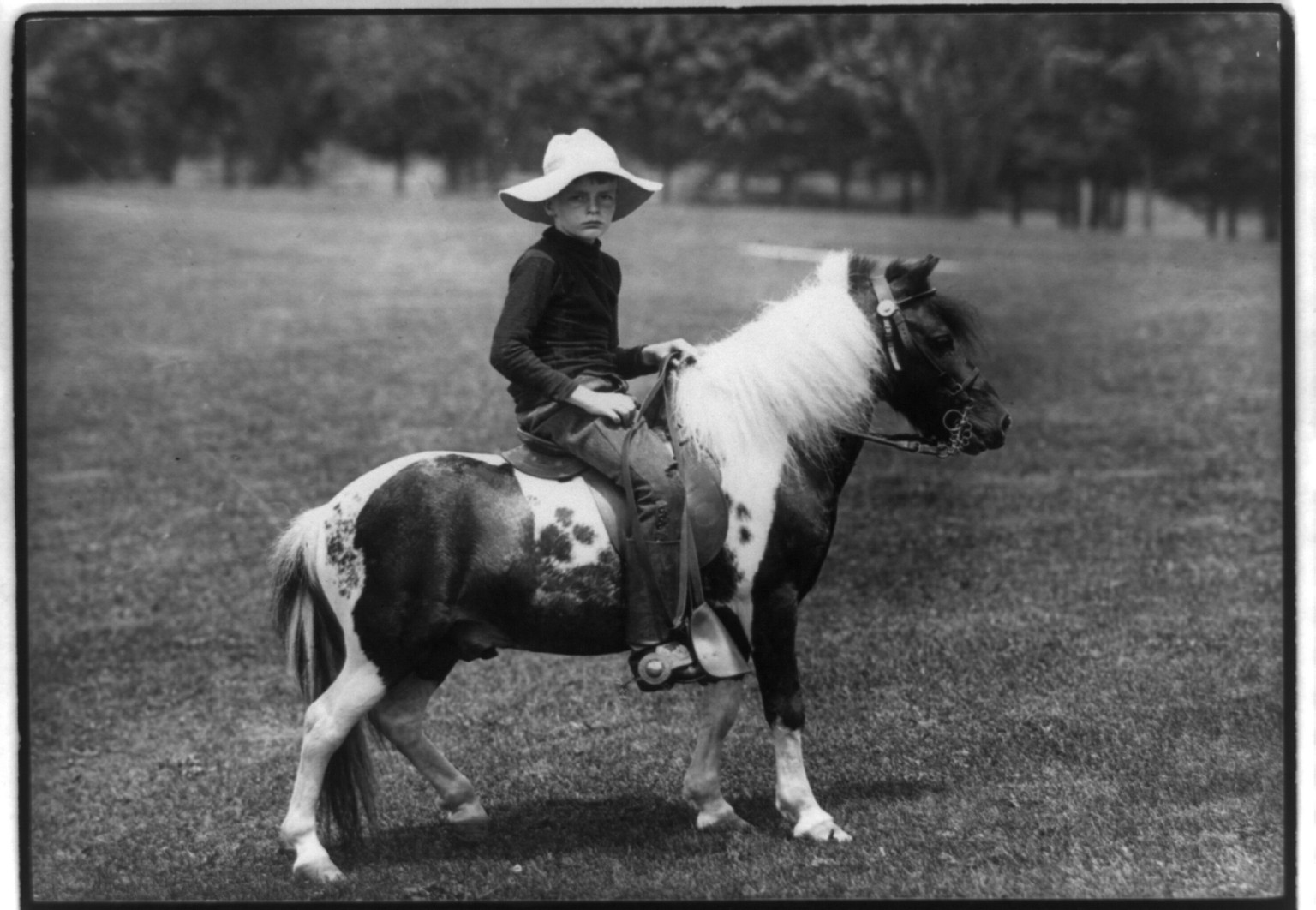 [Archie Roosevelt on pony], c1903. — historic photograph