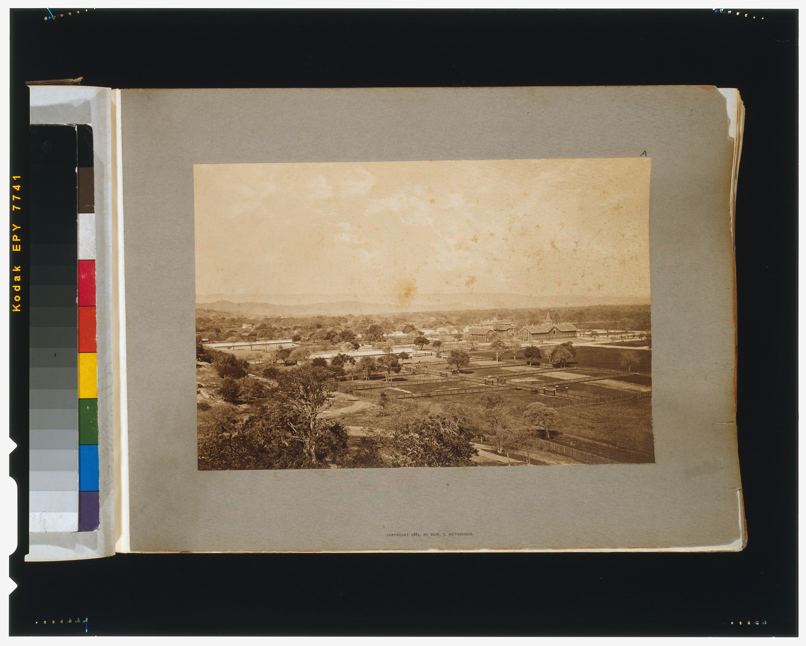 General view of the Palo Alto Stock Rancho, [San Francisco] : Muybridge, c1881. — historic photograph
