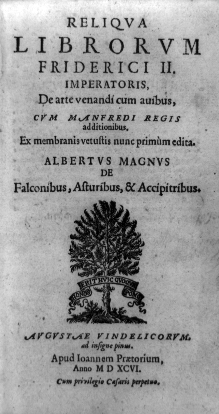 [Title page of De arte venandi cum avibus, with pine tree and banner Honos erithuic quoqum pomo"]", [published 1596] — antique engraving