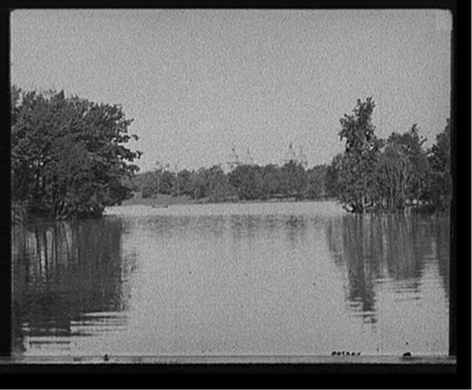 [Lake in the park, Buffalo, N.Y.], [between 1900 and 1910] — historic photograph