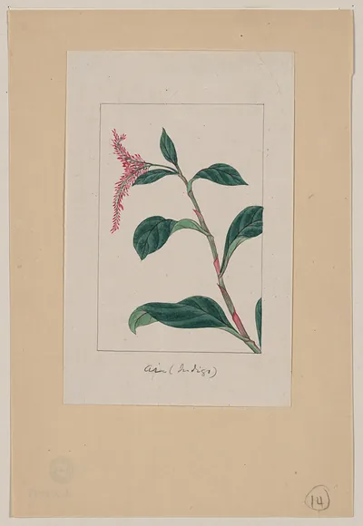[Japanese drawing]