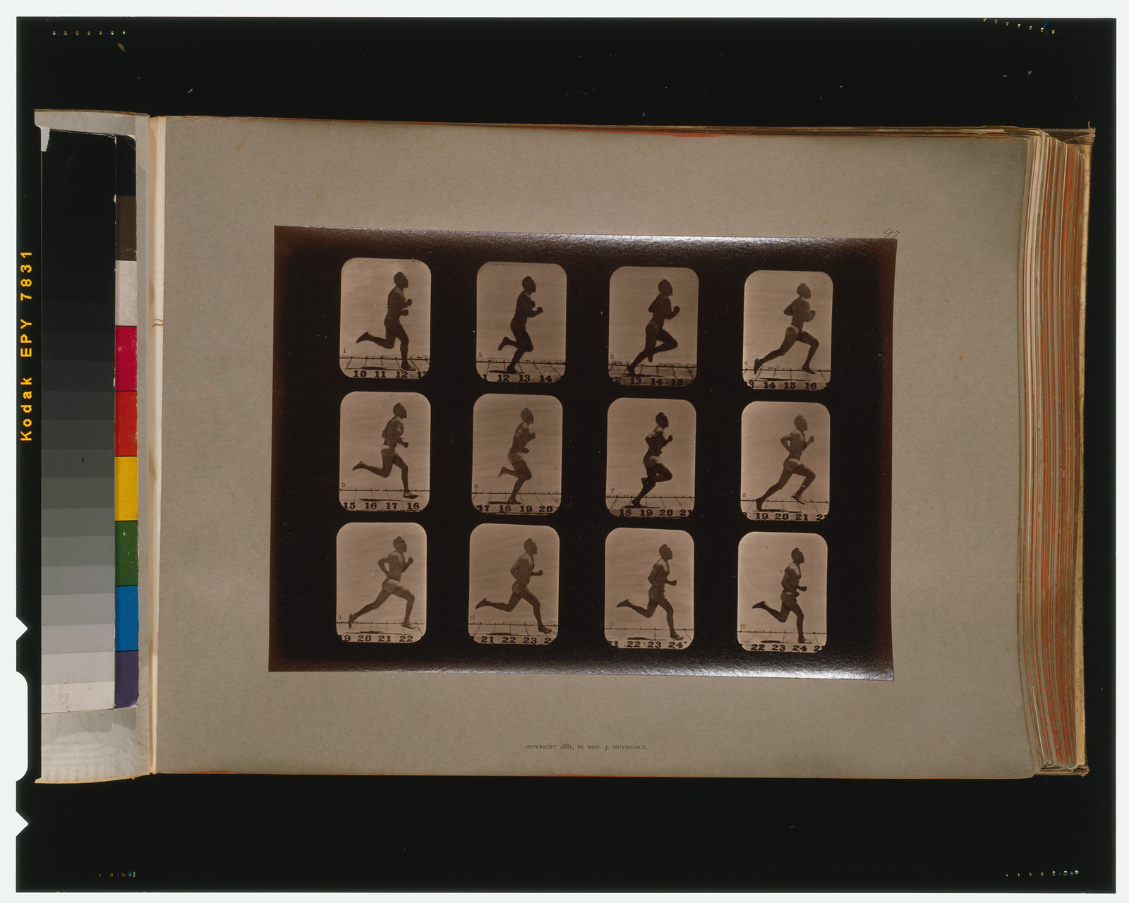 Athletes. Running, [San Francisco] : Muybridge, c1881. — historic photograph