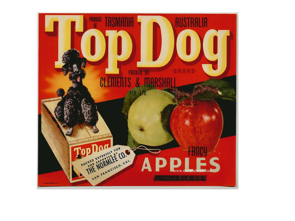 Top Dog brand fancy apples crate label, Tasmania, Australia — historic image