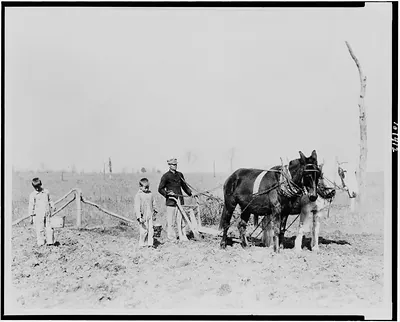 The Arkansas farmer, undismayed by last year's drought, prepares his ground for another crop
