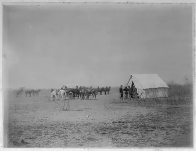 [Fort Clark, Tex., ca. 188-: Horses and wagon beside tent]