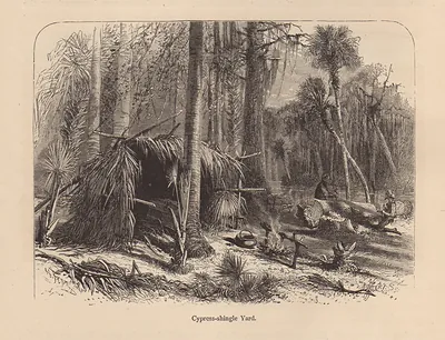 Cypress-shingle Yard