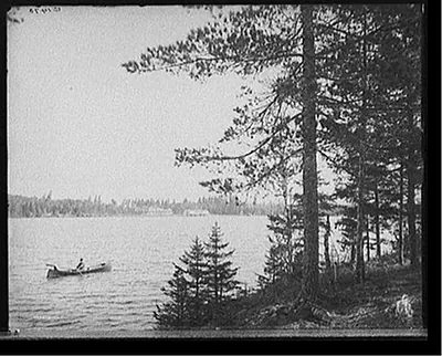 [Lower St. Regis Lake, Paul Smith's Hotel from Peter's Rock, Adirondack Mts., N.Y.]