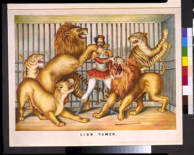 Lion tamer