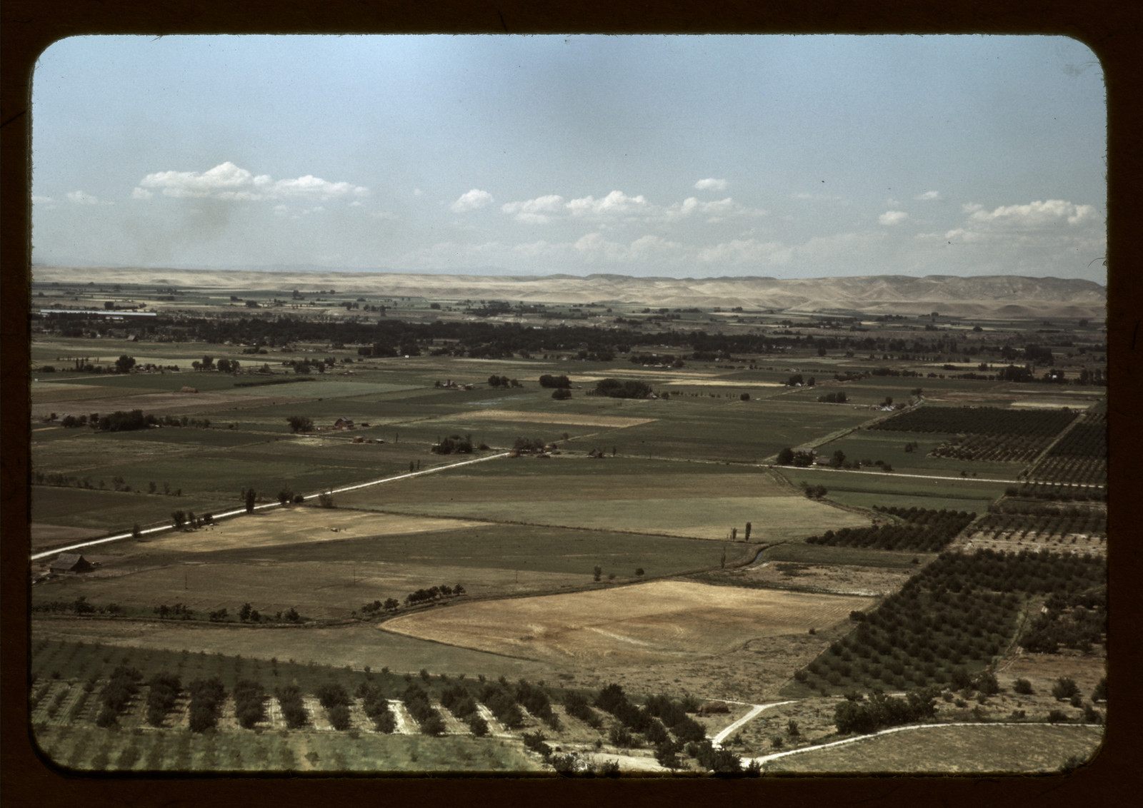 Cherry orchards and farming land, Emmett, Idaho — historic image