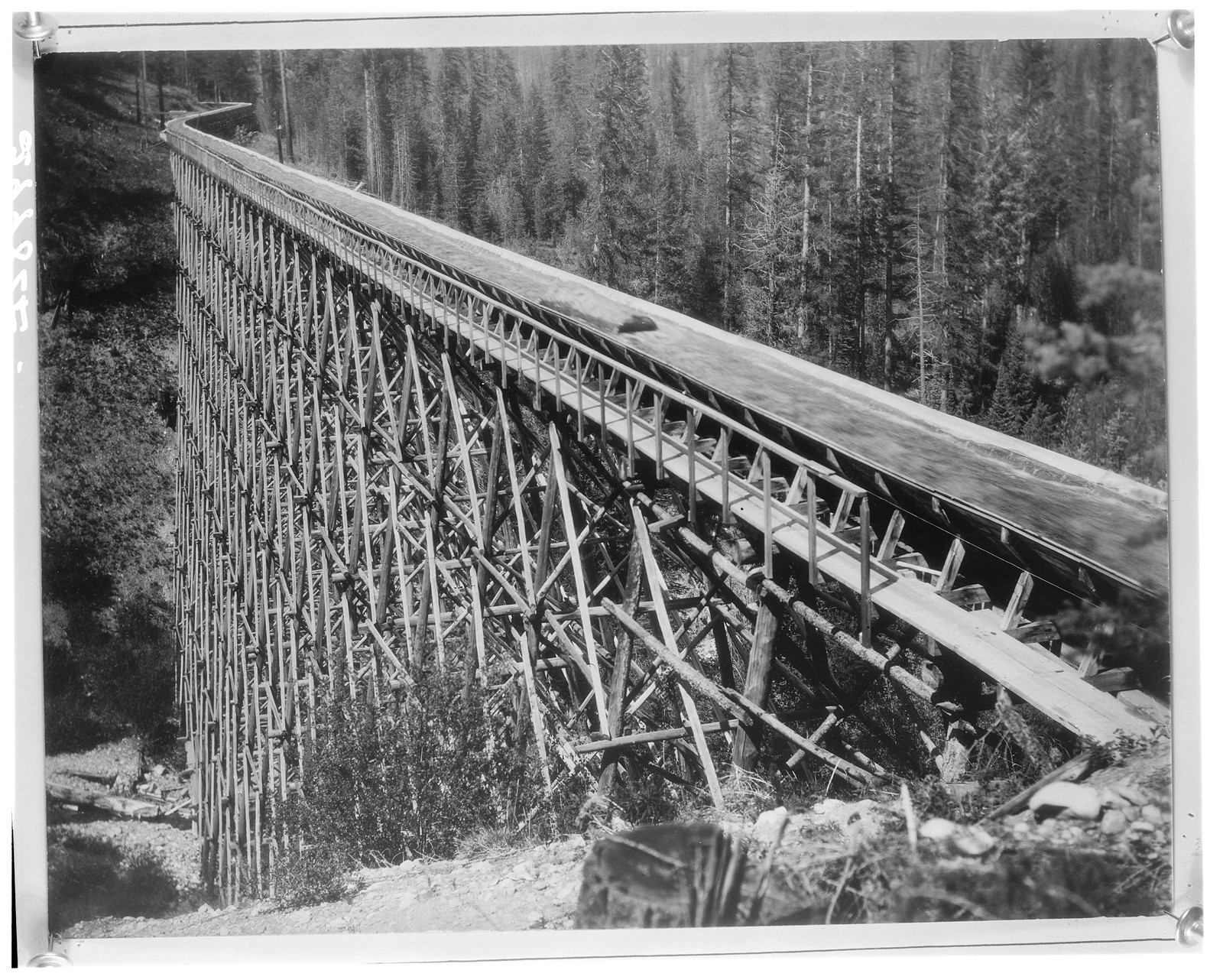 Wooden flume on tall timber trestle through forest — historic image