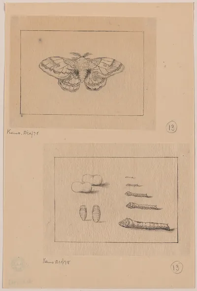 [Japanese drawing]