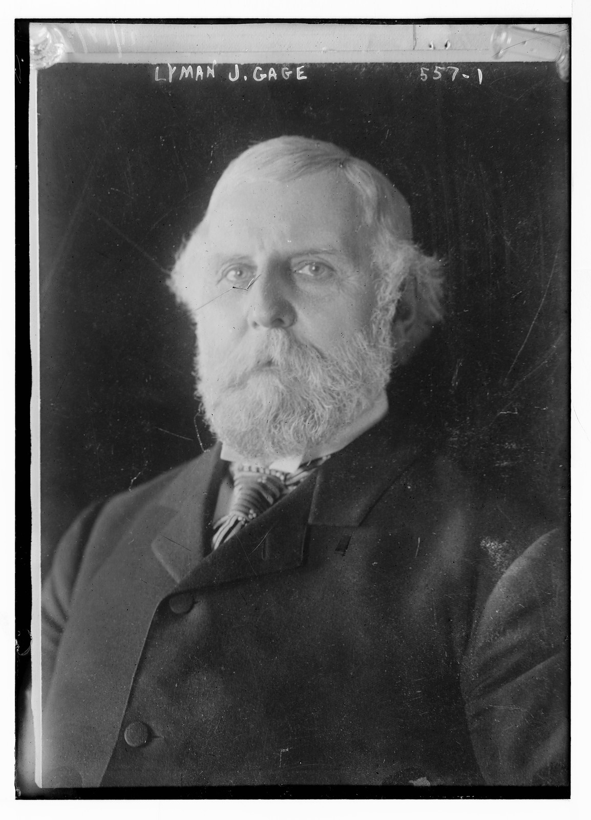Lyman J. Gage, portrait bust, n/a — historic photograph