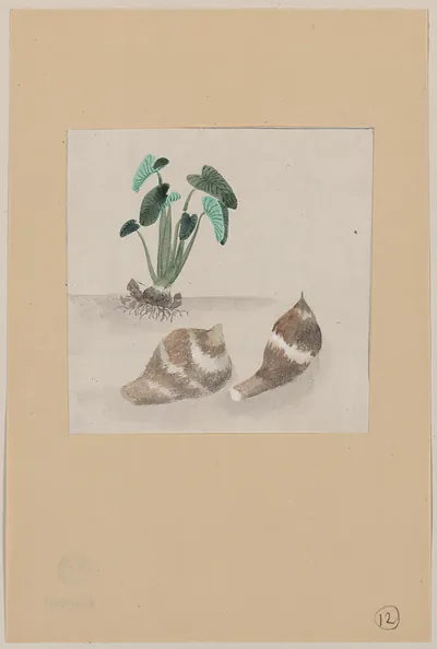 [Japanese drawing]