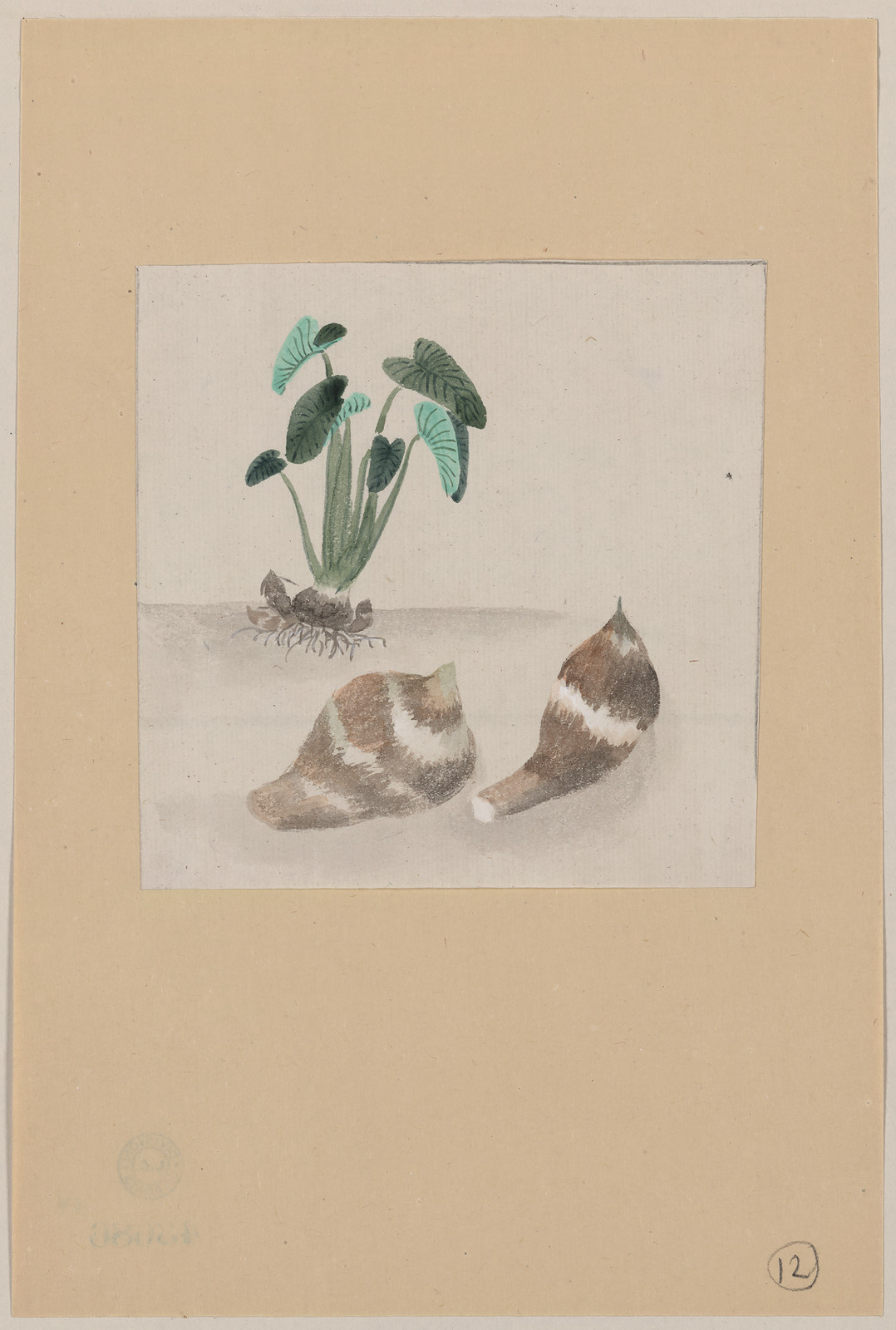 [Japanese drawing], 1750 — historic drawing