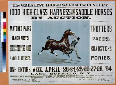 The Greatest Horse Sale of the Century - 1000 High-Class Harness and Saddle Horses by Auction