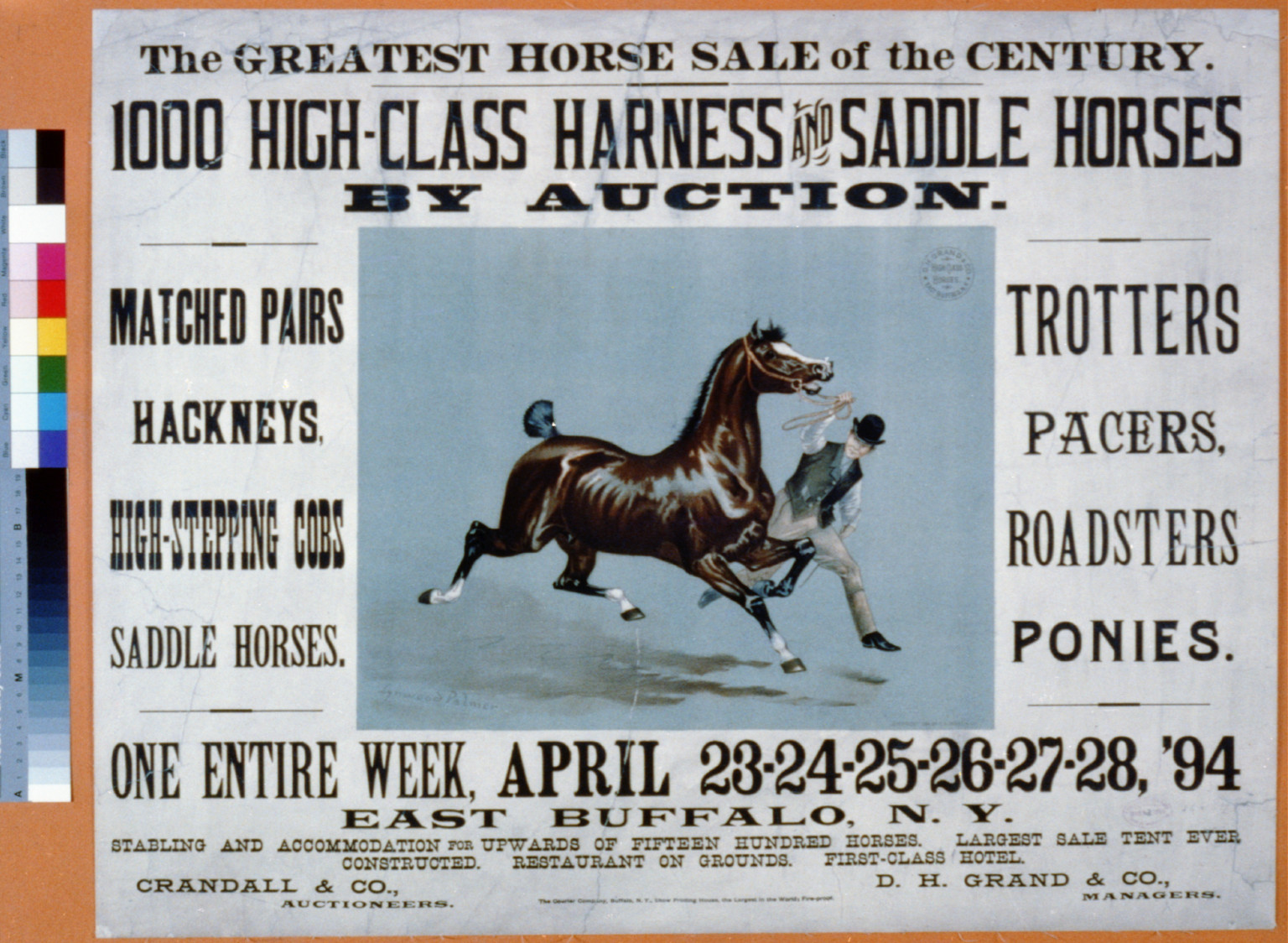 The Greatest Horse Sale of the Century - 1000 High-Class Harness and Saddle Horses by Auction, Buffalo : The Courier Company, Show Printing House, 1894. — vintage poster