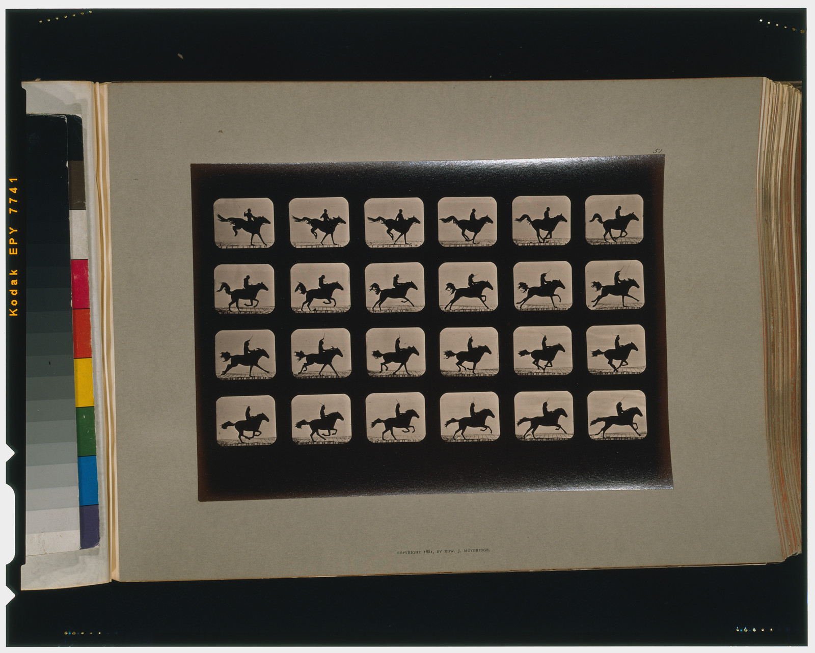 Horses. After leaping a 3 ft. 6 hurdle, [San Francisco] : Muybridge, c1881. — historic photograph