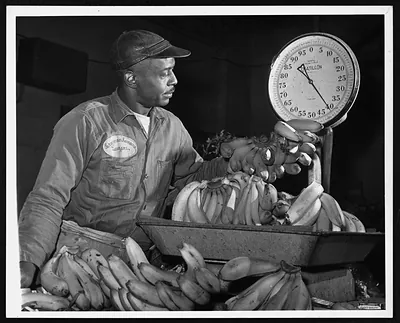 Man weighing bananas on a Chatillon scale